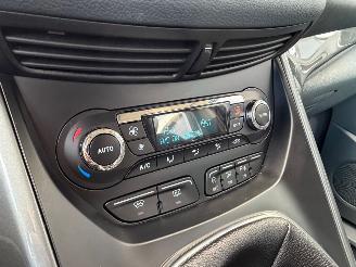 Ford C-Max 1.6 TDCi Lease Titanium Camera Clima picture 11