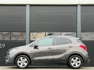 Opel Mokka 1.6 CDTi Xenon Navi Camera Euro-6 picture 6