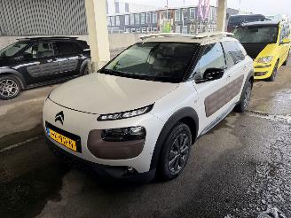 Tweedehands auto Citroën C4 cactus 1.6 BlueHDi Panorama Camera 2015/11