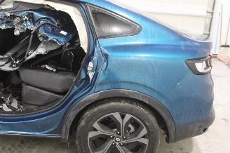 Renault Arkana  picture 6