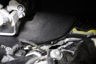 Volkswagen Transporter T6 picture 18