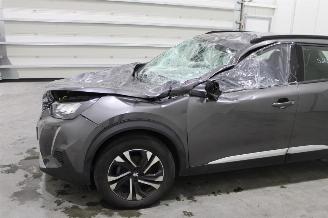 Peugeot 2008  picture 5