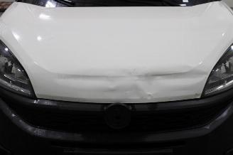 Fiat Doblo  picture 7