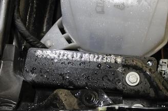 Seat Ibiza  picture 24