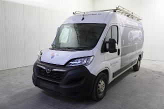 Autoverwertung Opel Movano  2022/7