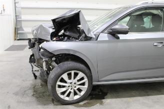 Skoda Kamiq  picture 5