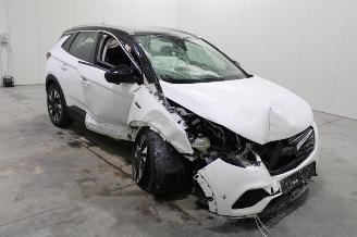 Opel Grandland X picture 3