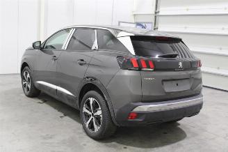 Peugeot 3008  picture 5