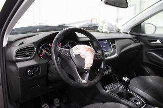 Opel Grandland X picture 9
