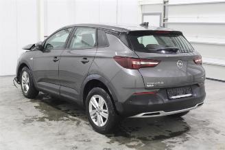 Opel Grandland X picture 4