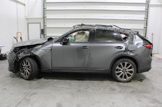 Mazda CX-60  picture 6