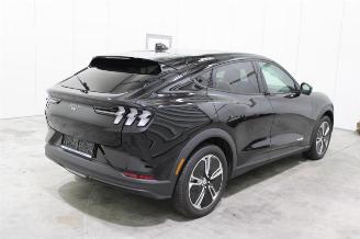Ford Mustang Mach-e  picture 3