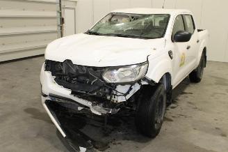 Auto incidentate Renault Alaskan  2018/11
