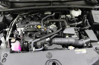 Lexus LBX  picture 13