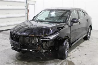 demontáž dodávky DFSK Fengon 5  2022/12