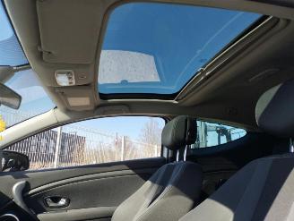 Renault Mégane Megane picture 13