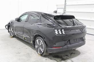 Ford Mustang Mach-e  picture 4