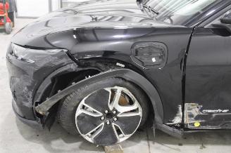 Ford Mustang Mach-e  picture 5