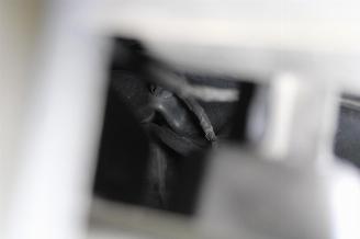 Dacia Sandero  picture 21