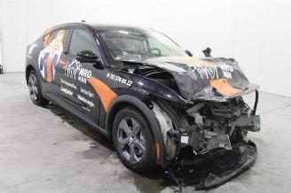 Ford Mustang Mach-e  picture 2