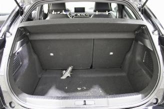 DS Automobiles DS 3 Crossback DS3 Crossback picture 18