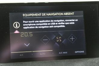 DS Automobiles DS 3 Crossback DS3 Crossback picture 13