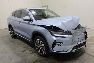 BYD Seal U  picture 2