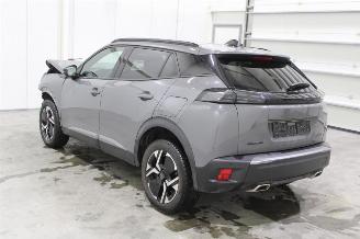 Peugeot 2008  picture 4