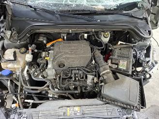 Ford Focus  picture 12