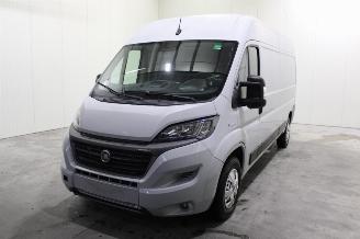 Sloopauto Fiat Ducato  2021/9