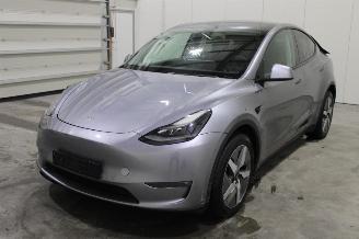 Unfallwagen Tesla Model Y  2025/1