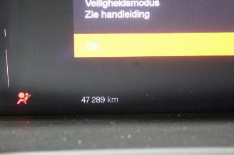 Polestar 2  picture 13