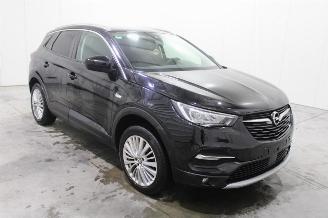 Opel Grandland X picture 2