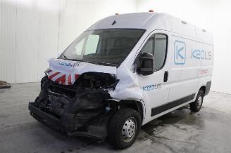Schadeauto Opel Movano  2024/3
