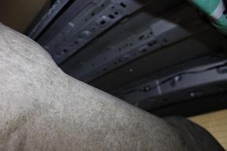 Ford Tourneo Connect  picture 23