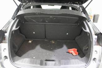 Nissan Juke  picture 20