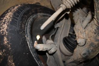 Volkswagen Amarok  picture 16