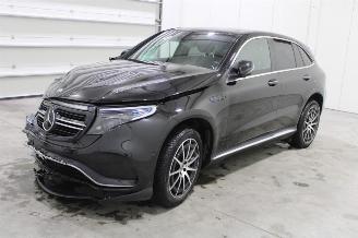 Schadeauto Mercedes EQC  2021/7