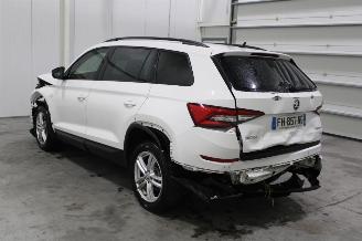 Skoda Kodiaq  picture 4