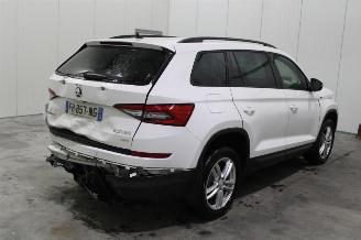 Skoda Kodiaq  picture 3