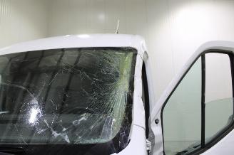 Ford Transit  picture 19