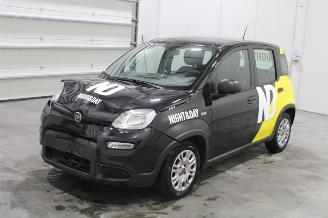 Avarii autoturisme Fiat Panda  2023/3