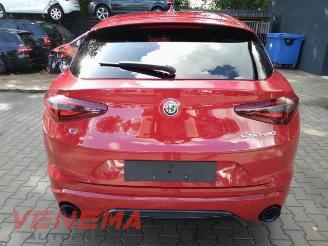 Alfa Romeo Stelvio Stelvio (949), SUV, 2017 2.0 T 16V Q4 picture 6