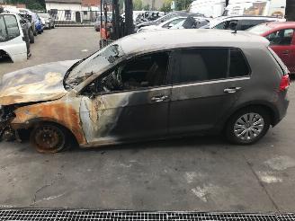 Volkswagen Golf DIESEL - 1600CC -81KW picture 2