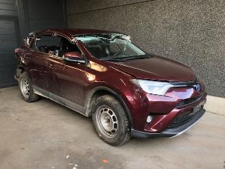 demontáž osobní automobily Toyota Rav-4 (A4) Terreinwagen 2012 / 2019 2.5 Hybrid 16V VVT-i 4x4 Jeep/SUV  Elektrisch Benzine 2,494cc 114kW 2016/4