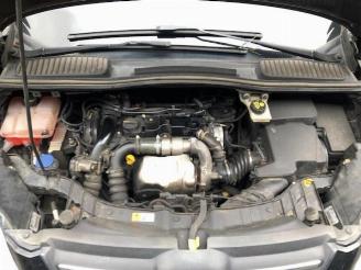 Ford C-Max C-Max (DXA), MPV, 2010 / 2019 1.6 TDCi 16V Van picture 3