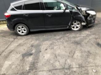 Ford C-Max C-Max (DXA), MPV, 2010 / 2019 1.6 TDCi 16V Van picture 13