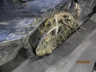 BMW 3-serie  picture 20