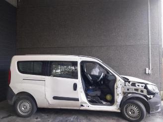 Fiat Doblo Doblo Cargo (263), Van, 2010 1.3 D Multijet picture 4