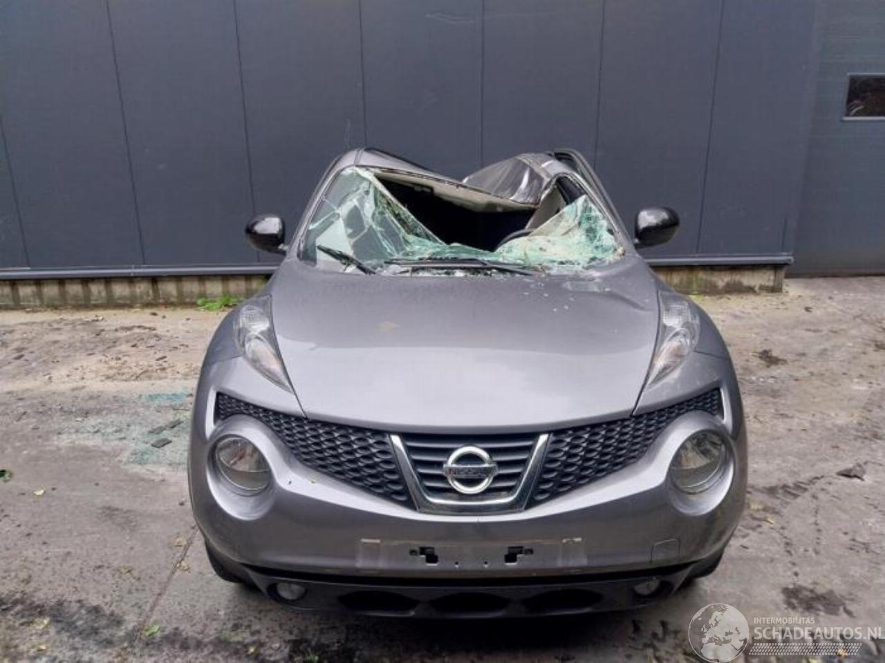 Nissan Juke Juke (F15), SUV, 2010 / 2019 1.6 16V